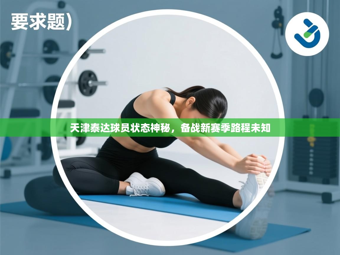 天津泰达球员状态神秘，备战新赛季路程未知
