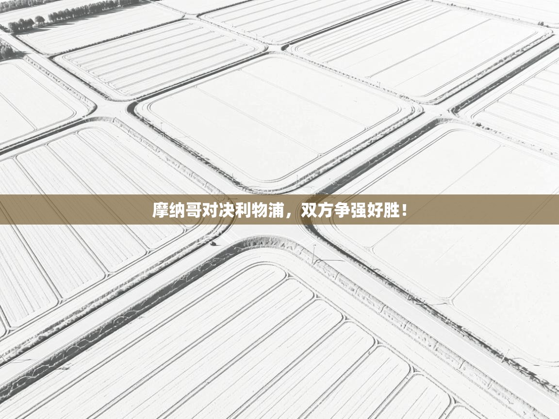 摩纳哥对决利物浦，双方争强好胜！  第2张