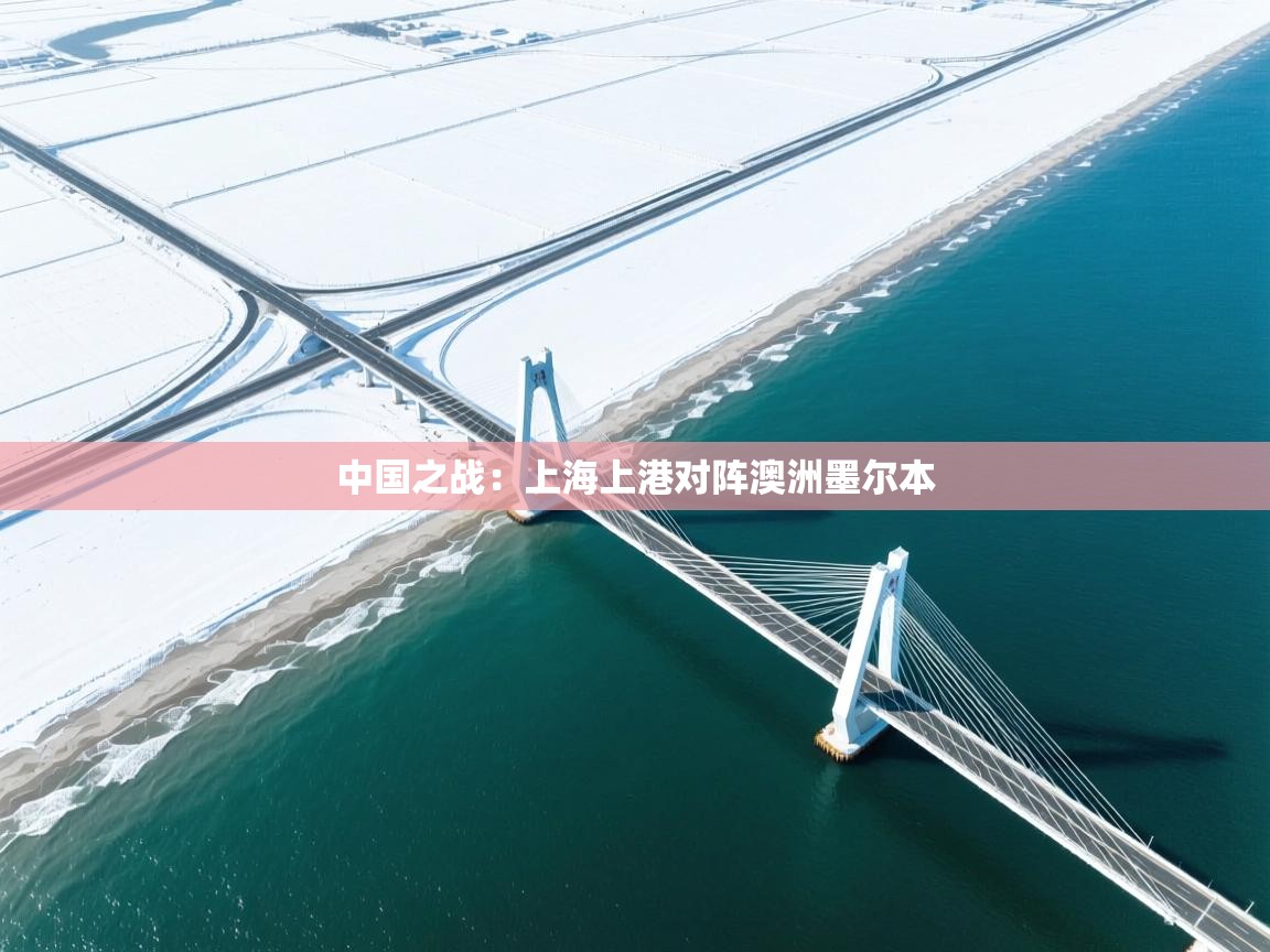 中国之战：上海上港对阵澳洲墨尔本