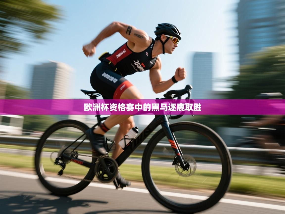 欧洲杯资格赛中的黑马逐鹿取胜  第1张