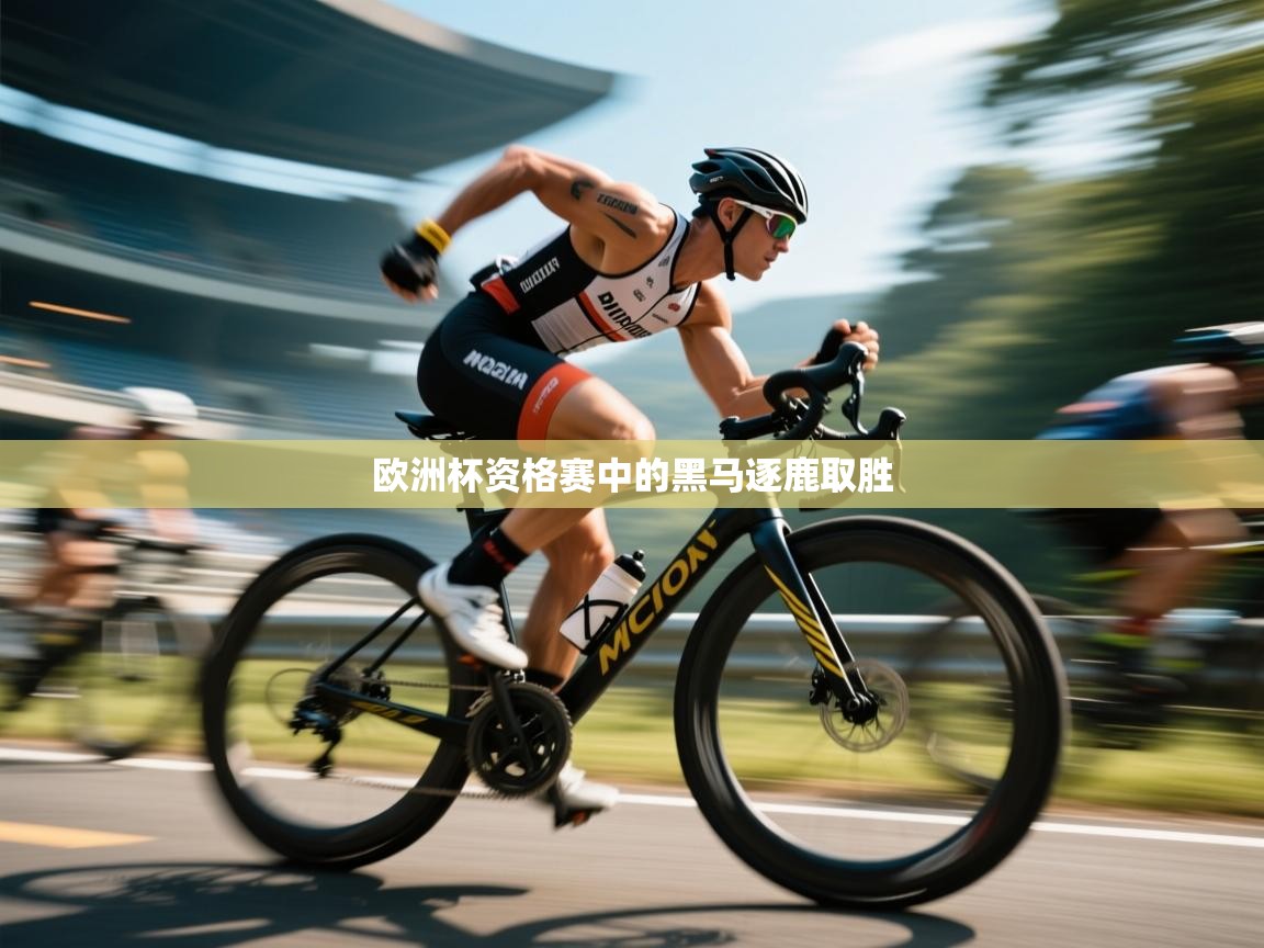 欧洲杯资格赛中的黑马逐鹿取胜  第2张