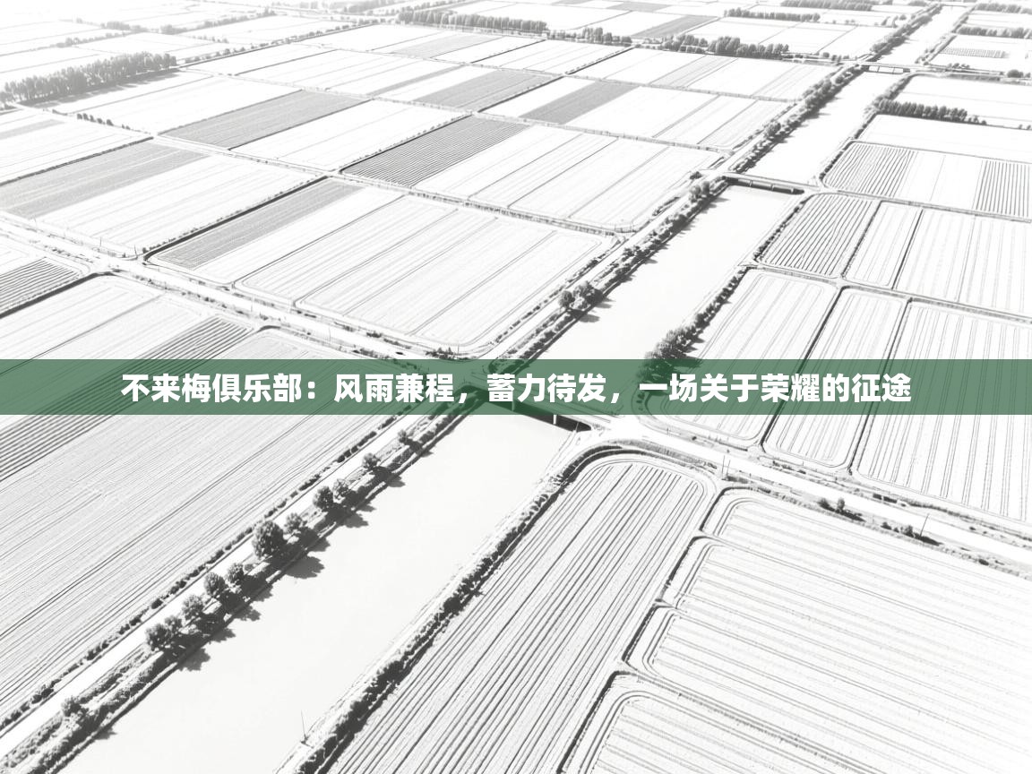 不来梅俱乐部：风雨兼程，蓄力待发，一场关于荣耀的征途